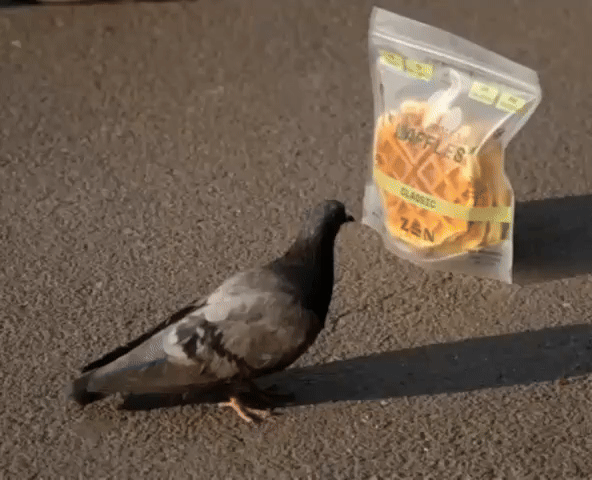 Centered GIF